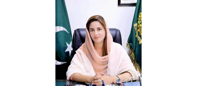 zartaaj gul