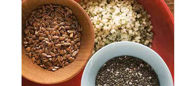 benefits of chia seeds