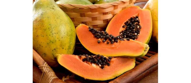 benefit of papaya