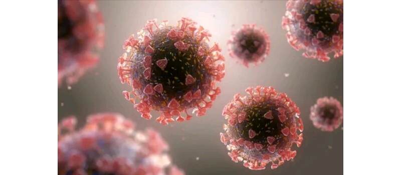 comgo virus in pakistan