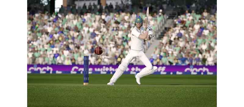 cricket 24