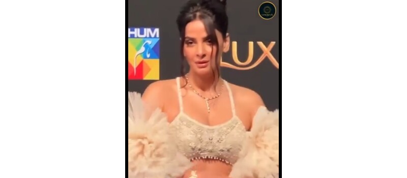 saba qamar bold dress