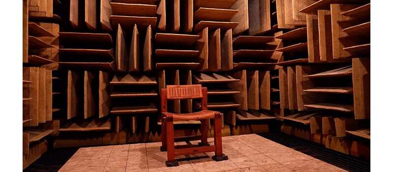 Quietest Place on Earth is So Quiet That You Can Hear Your Own Organs.