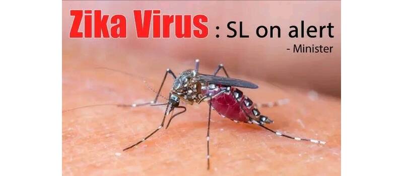 zika virus