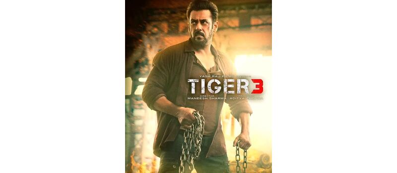 tiger 3 new record