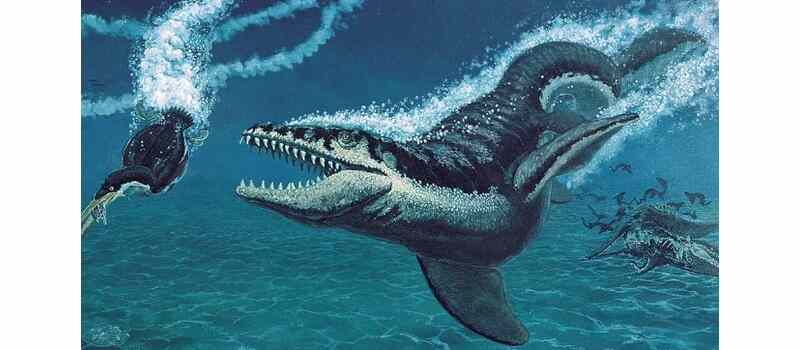 new creature discover in sea