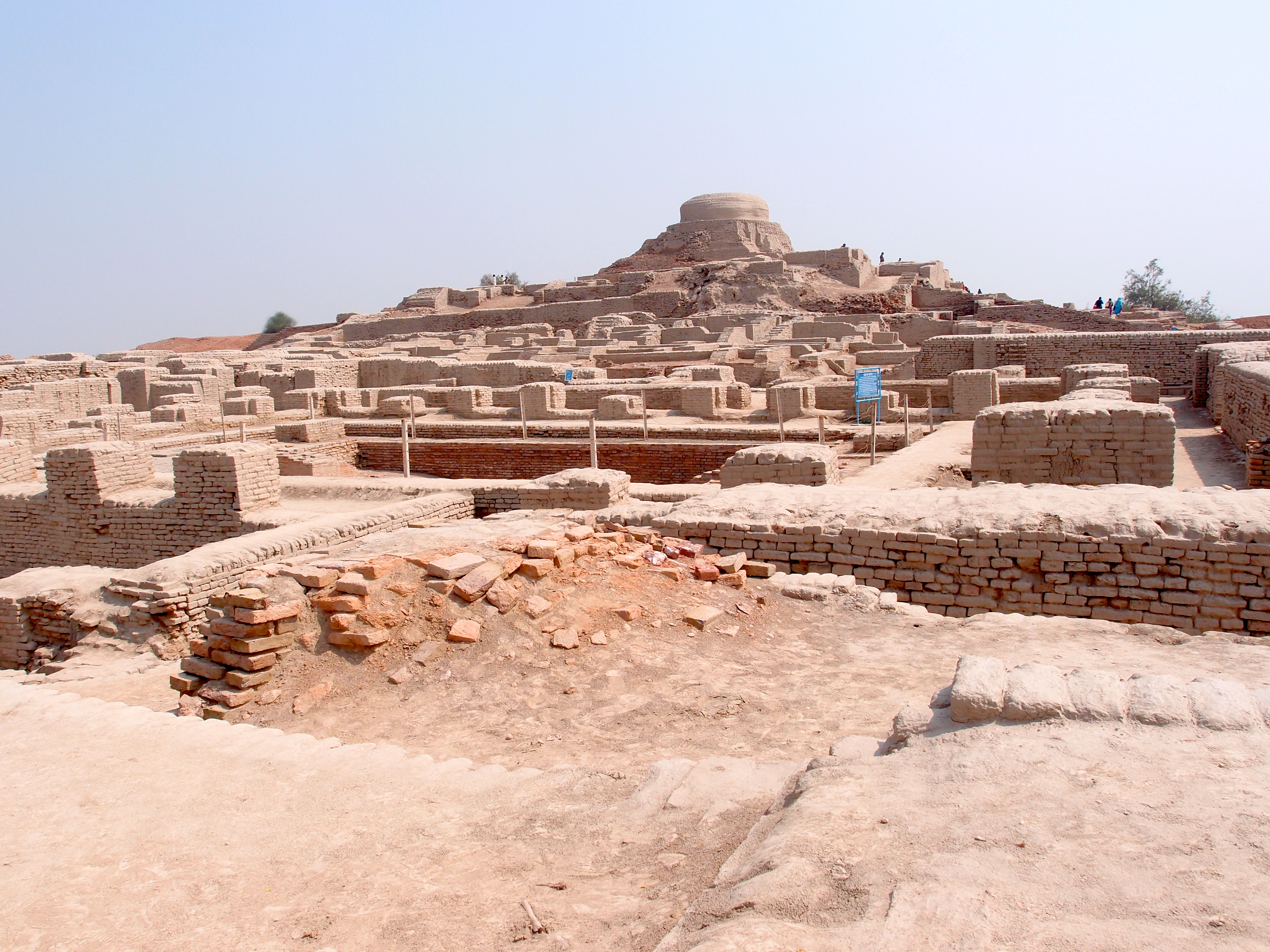 Copper coins recovered from Mohenjo Daro