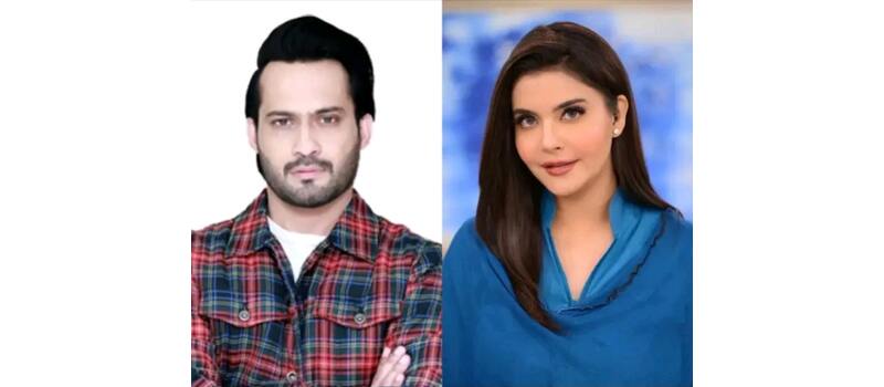 nida yasir ary show