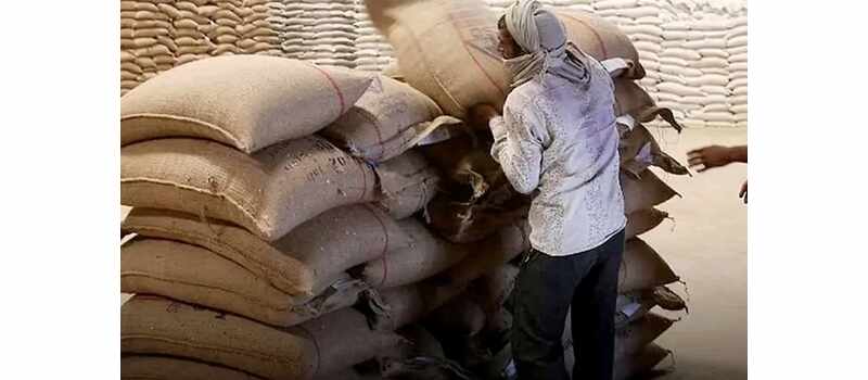 wheat stock in pakistan