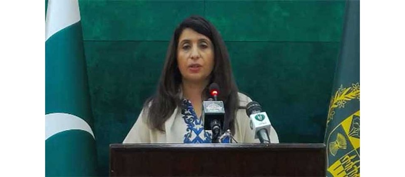 afghan talban must use vpower against ttp