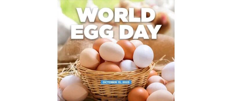 eggs price in pakistan