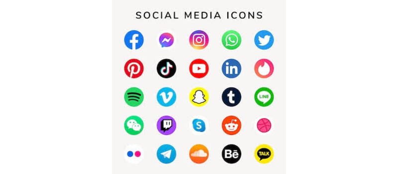 role of social media in election 2024