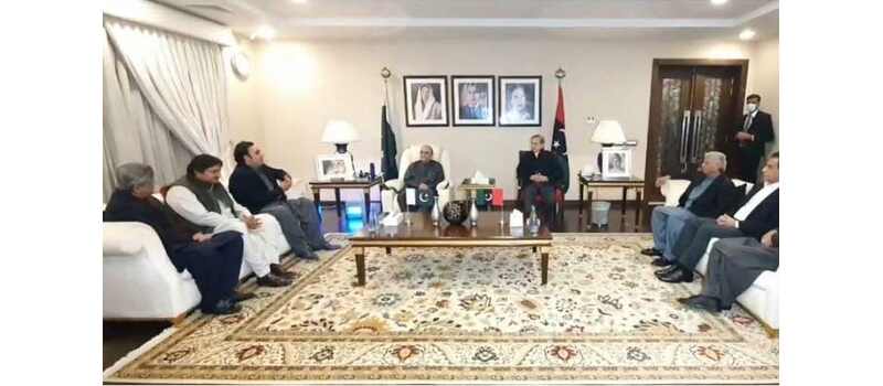 pppp pmln pdm 2