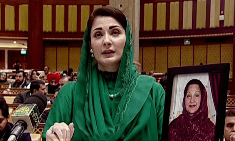 maryam nawaz tik tok videos
