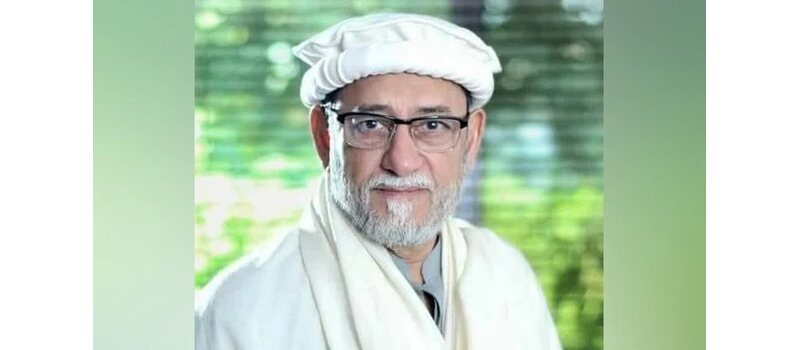 People won’t wait five years for improvement, says PML-N’s Rohale Asghar